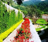 Paisagismo em Savassi