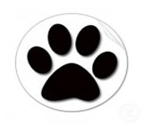 Pet Shops em Savassi